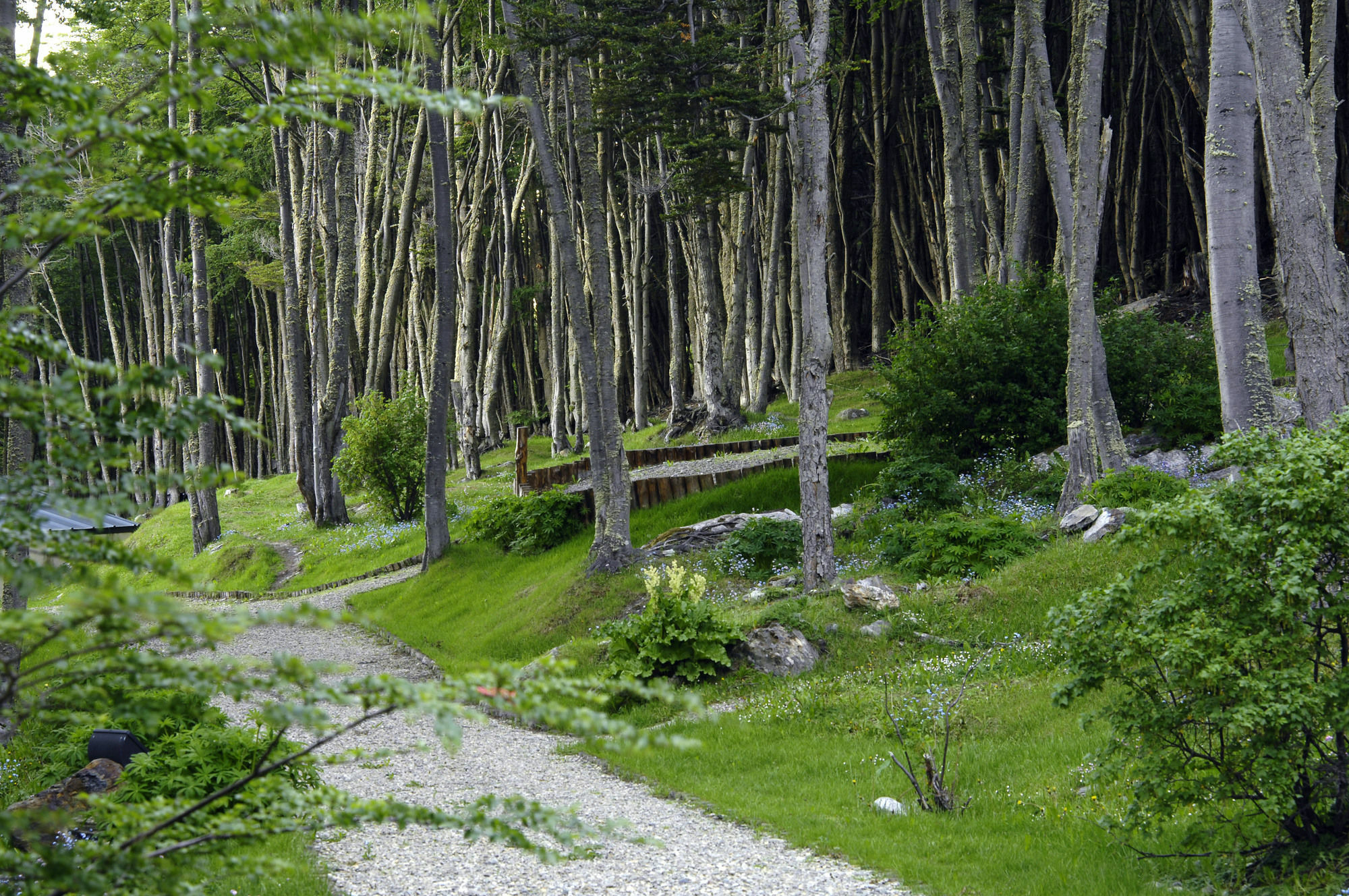 Las Hayas Ushuaia Resort 외부 사진